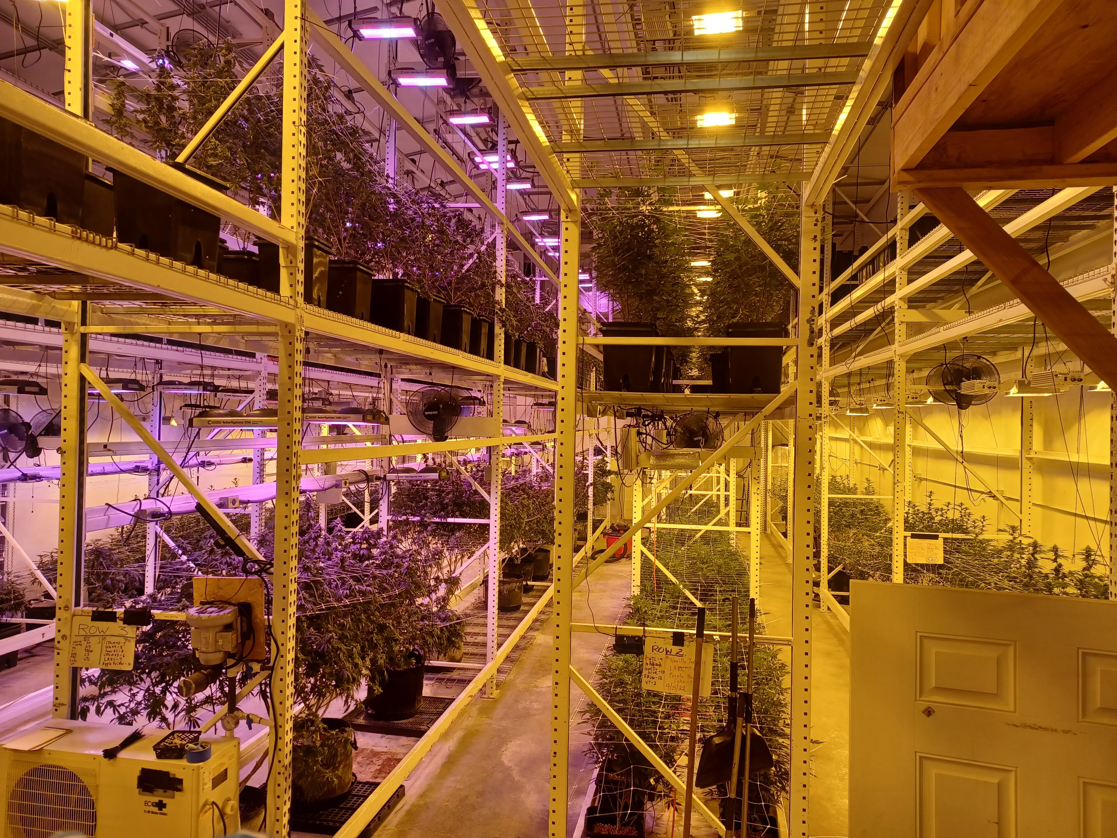 Indoor flower room (placeholder stock photo)